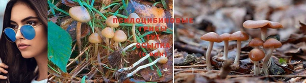 гашишное масло Баксан