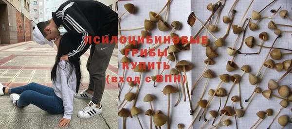 соль курить ск Балахна